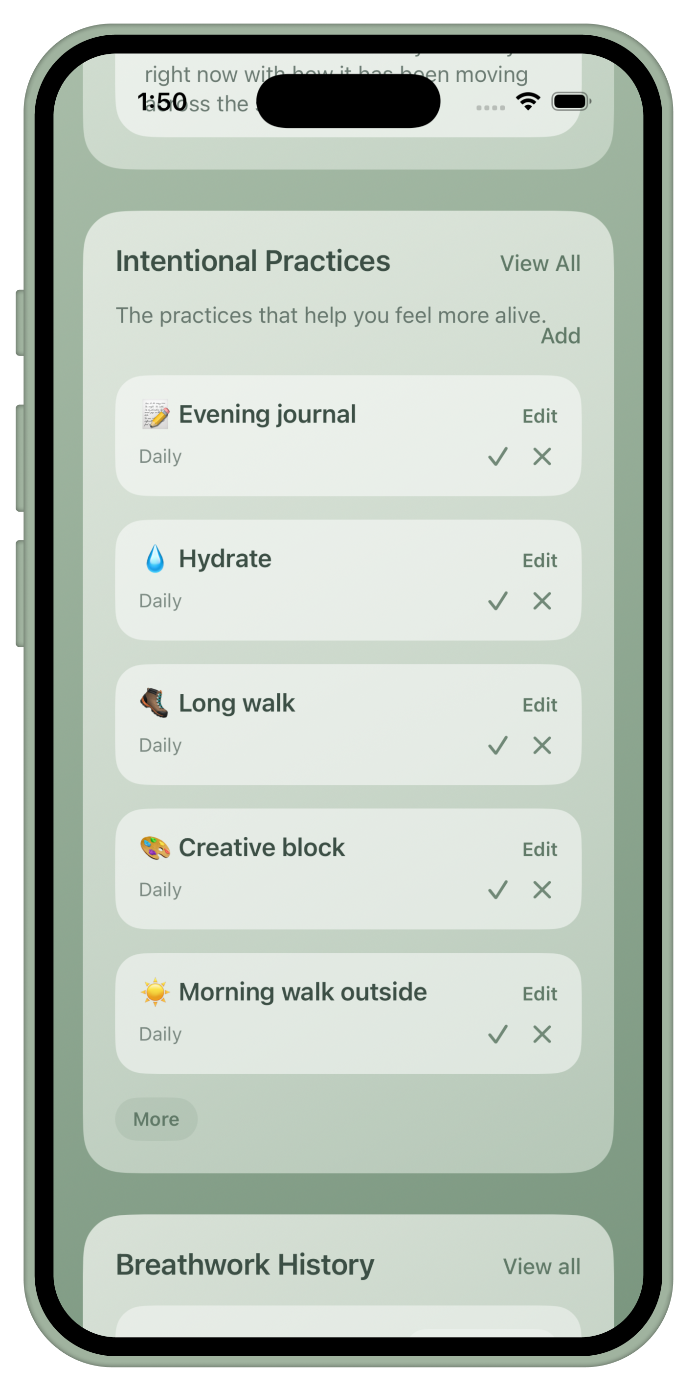 Intentional Practices screen shown inside an iPhone bezel.